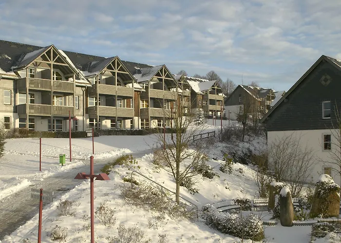 公寓式酒店 Hapimag 4*