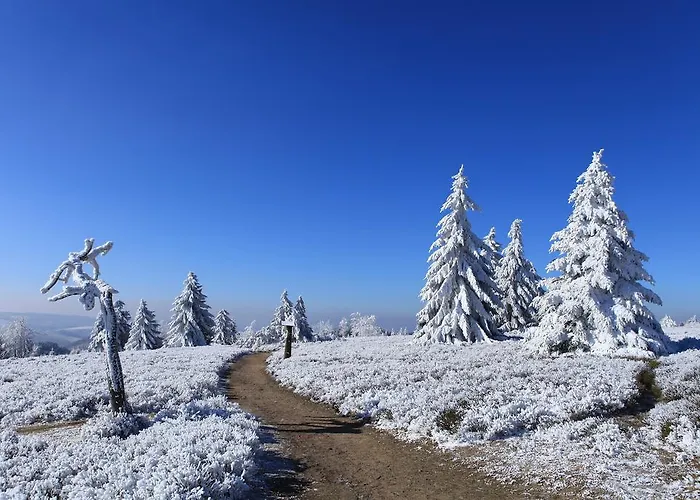 Hotel apartamentowy Hapimag